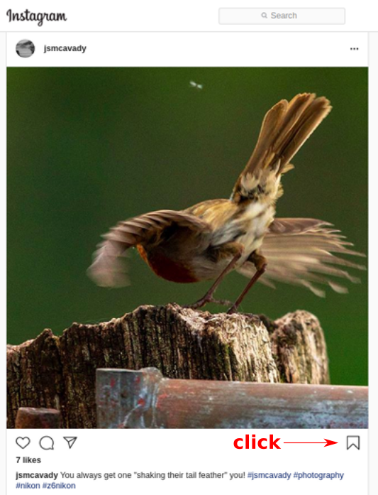 Image showing how to curate content on Instagram